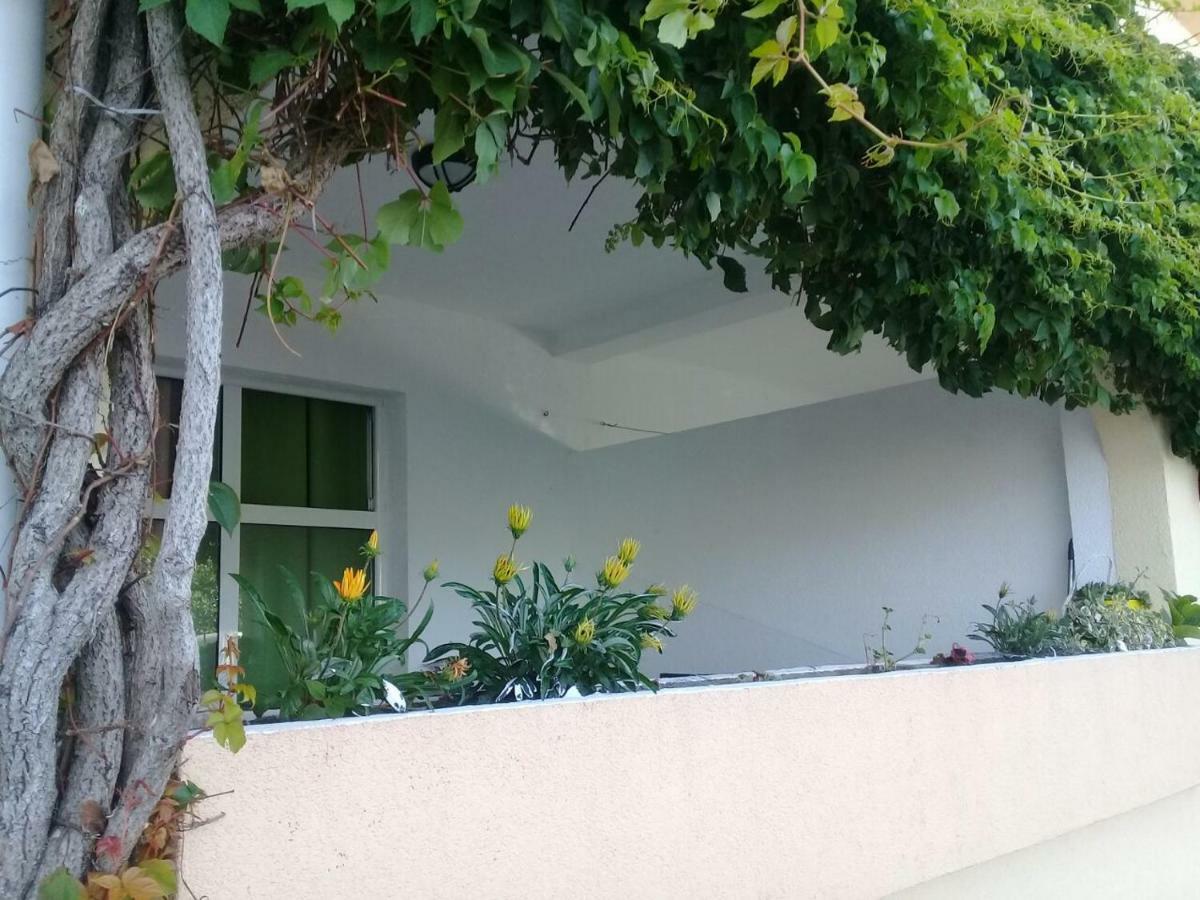 Montenegrina Apartment Budva Exterior foto